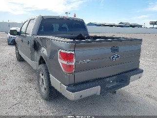 2010 Ford F-150, VIN 1FTEW1C8XAFA37129. Zdjęcie 3 z 6 z aukcji IAAI. Katalog aut z USA OpenDataCar.