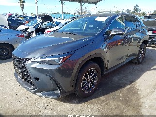 2024 Lexus NX 250, VIN JTJADCAZ2R5013739. Фото 2 з 6 з аукціону IAAI. Каталог авто зі США OpenDataCar.