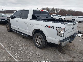 2017 Ford F-150, VIN 1FTEW1EP8HFA96534. Фото 3 з 6 з аукціону IAAI. Каталог авто зі США OpenDataCar.