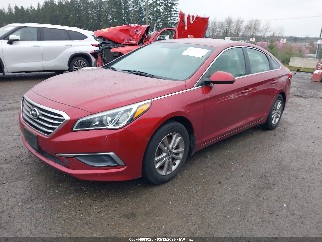 2016 Hyundai Sonata, VIN 5NPE24AF3GH260514. Фото 2 з 6 з аукціону IAAI. Каталог авто зі США OpenDataCar.