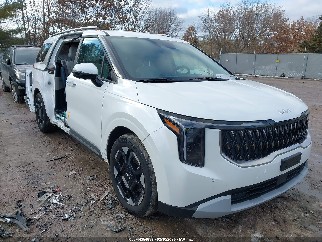 2025 Kia Carnival, VIN KNDNC5K33S6451361. Фото 1 з 6 з аукціону IAAI. Каталог авто зі США OpenDataCar.