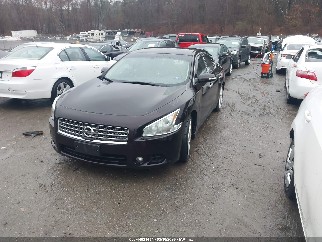 2011 Nissan Maxima, VIN 1N4AA5AP1BC814756. Фото 2 з 6 з аукціону IAAI. Каталог авто зі США OpenDataCar.