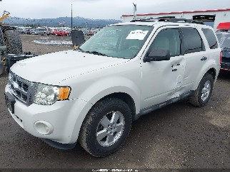 2009 Ford Escape, VIN 1FMCU03759KD06926. Фото 2 з 6 з аукціону IAAI. Каталог авто зі США OpenDataCar.