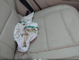 2011 Volkswagen Tiguan, VIN WVGBV7AX1BW540080. Фото 6 з 6 з аукціону IAAI. Каталог авто зі США OpenDataCar.