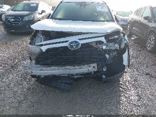2019 Toyota RAV4, VIN JTMK1RFV7KD505560. Фото 6 з 6 з аукціону IAAI. Каталог авто зі США OpenDataCar.