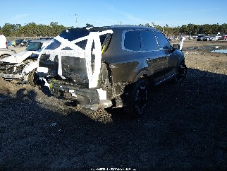 2023 Kia Telluride, VIN 5XYP6DGC4PG331835. Фото 4 з 6 з аукціону IAAI. Каталог авто зі США OpenDataCar.