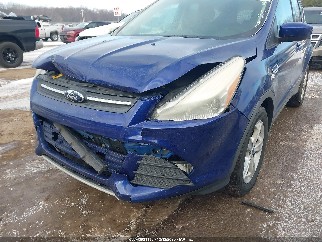 2014 Ford Escape, VIN 1FMCU0GX1EUA98214. Фото 6 из 6 с аукциона IAAI. Каталог авто из США OpenDataCar.
