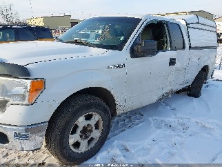 2011 Ford F-150, VIN 1FTEX1CM9BFB46175. Фото 6 з 6 з аукціону IAAI. Каталог авто зі США OpenDataCar.