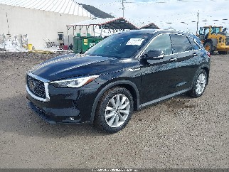 2019 Infiniti QX50, VIN 3PCAJ5M37KF108851. Фото 2 з 6 з аукціону IAAI. Каталог авто зі США OpenDataCar.