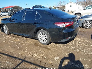 2020 Toyota Camry, VIN 4T1C11AKXLU353547. Фото 3 з 6 з аукціону IAAI. Каталог авто зі США OpenDataCar.