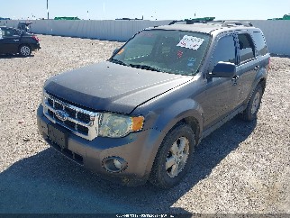 2009 Ford Escape, VIN 1FMCU03G19KA87804. Фото 2 з 6 з аукціону IAAI. Каталог авто зі США OpenDataCar.