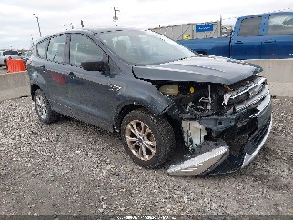 2019 Ford Escape, VIN 1FMCU0F79KUC20380. Фото 1 з 6 з аукціону IAAI. Каталог авто зі США OpenDataCar.