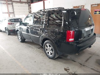 2009 Honda Pilot, VIN 5FNYF48899B016036. Фото 3 з 6 з аукціону IAAI. Каталог авто зі США OpenDataCar.