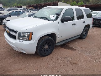 2012 Chevrolet Tahoe, VIN 1GNLC2E07CR208456. Фото 2 з 6 з аукціону IAAI. Каталог авто зі США OpenDataCar.