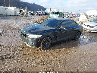 2014 Bmw 2 Series, VIN WBA1F5C54EVV99550. Фото 2 з 6 з аукціону IAAI. Каталог авто зі США OpenDataCar.