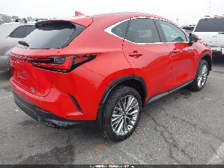 2025 Lexus NX 350h, VIN 2T2GKCEZ4SC042046. Фото 4 из 6 с аукциона IAAI. Каталог авто из США OpenDataCar.