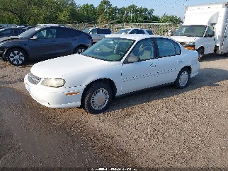 2005 Chevrolet Classic, VIN 1G1ND52F05M113576. Фото 2 з 6 з аукціону IAAI. Каталог авто зі США OpenDataCar.
