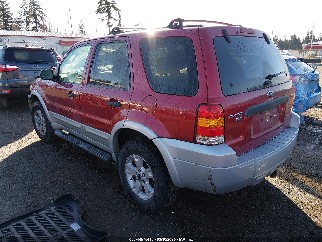 2007 Ford Escape, VIN 1FMCU93137KA52131. Фото 3 из 6 с аукциона IAAI. Каталог авто из США OpenDataCar.
