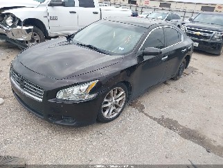 2014 Nissan Maxima, VIN 1N4AA5AP8EC492668. Фото 2 из 6 с аукциона IAAI. Каталог авто из США OpenDataCar.