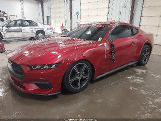 2024 Ford Mustang, VIN 1FA6P8TH0R5124796. Фото 2 з 6 з аукціону IAAI. Каталог авто зі США OpenDataCar.