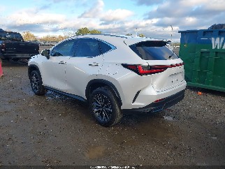 2023 Lexus NX 250, VIN JTJADCAZ1P2006666. Фото 3 з 6 з аукціону IAAI. Каталог авто зі США OpenDataCar.