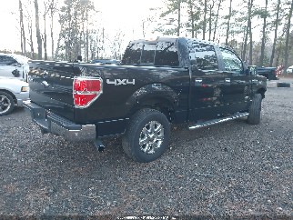 2014 Ford F-150, VIN 1FTFW1ET7EFA18906. Фото 4 з 6 з аукціону IAAI. Каталог авто зі США OpenDataCar.