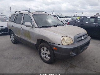 2005 Hyundai Santa Fe, VIN KM8SC13D55U878572. Фото 1 з 6 з аукціону IAAI. Каталог авто зі США OpenDataCar.