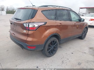 2017 Ford Escape, VIN 1FMCU0GD4HUB79301. Фото 4 з 6 з аукціону IAAI. Каталог авто зі США OpenDataCar.