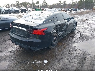 2016 Nissan Maxima, VIN 1N4AA6AP1GC430344. Фото 6 з 6 з аукціону IAAI. Каталог авто зі США OpenDataCar.