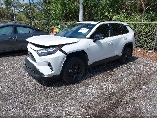 2025 Toyota RAV4, VIN 2T3W1RFVXSW370093. Фото 2 з 6 з аукціону IAAI. Каталог авто зі США OpenDataCar.