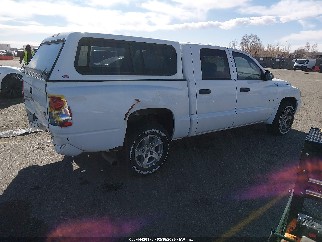 2007 Dodge Dakota, VIN 1D7HW48PX7S259531. Фото 4 из 6 с аукциона IAAI. Каталог авто из США OpenDataCar.