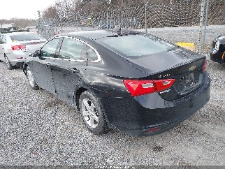 2019 Chevrolet Malibu, VIN 1G1ZC5ST0KF182293. Фото 3 з 6 з аукціону IAAI. Каталог авто зі США OpenDataCar.