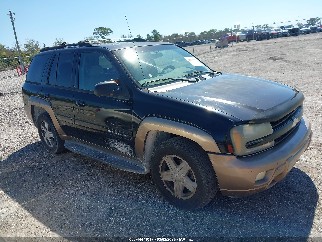 2002 Chevrolet Trailblazer, VIN 1GNDS13S822293336. Фото 1 з 6 з аукціону IAAI. Каталог авто зі США OpenDataCar.