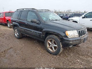 2002 Jeep Grand Cherokee, VIN 1J4GW58N82C283608. Фото 1 з 6 з аукціону IAAI. Каталог авто зі США OpenDataCar.