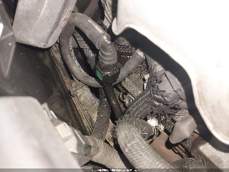 2006 Lexus GS 300, VIN JTHBH96S565040177. Фото 6 з 6 з аукціону IAAI. Каталог авто зі США OpenDataCar.