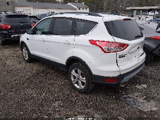 2014 Ford Escape, VIN 1FMCU9GX2EUA56560. Фото 3 з 6 з аукціону IAAI. Каталог авто зі США OpenDataCar.