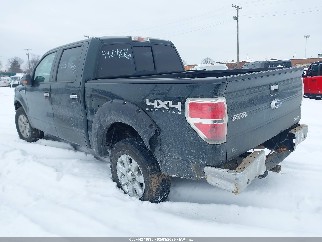 2013 Ford F-150, VIN 1FTFW1EF5DKD14894. Zdjęcie 3 z 6 z aukcji IAAI. Katalog aut z USA OpenDataCar.