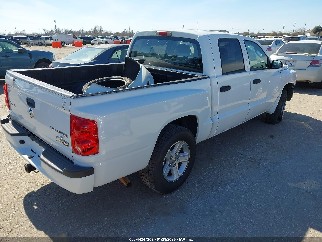 2011 Ram Dakota, VIN 1D7RE3GKXBS623107. Фото 4 из 6 с аукциона IAAI. Каталог авто из США OpenDataCar.