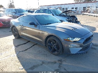 2021 Ford Mustang, VIN 1FA6P8TH0M5133393. Фото 1 з 6 з аукціону IAAI. Каталог авто зі США OpenDataCar.
