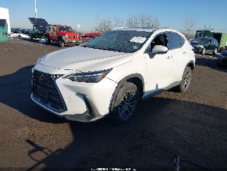 2022 Lexus NX 350, VIN 2T2AGCEZ9NC006168. Фото 2 з 6 з аукціону IAAI. Каталог авто зі США OpenDataCar.