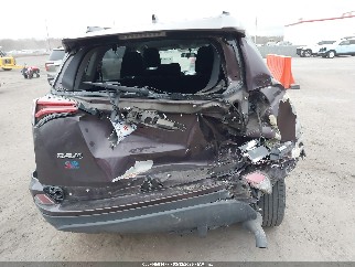 2016 Toyota RAV4, VIN 2T3ZFREV1GW243305. Фото 6 з 6 з аукціону IAAI. Каталог авто зі США OpenDataCar.