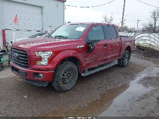 2015 Ford F-150, VIN 1FTEW1EG1FFC12766. Фото 2 з 6 з аукціону IAAI. Каталог авто зі США OpenDataCar.
