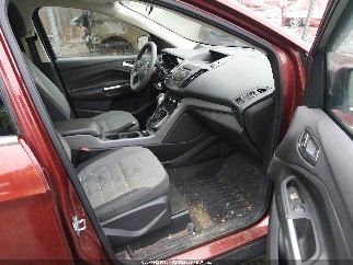 2014 Ford Escape, VIN 1FMCU0GX1EUA03084. Фото 5 з 6 з аукціону IAAI. Каталог авто зі США OpenDataCar.