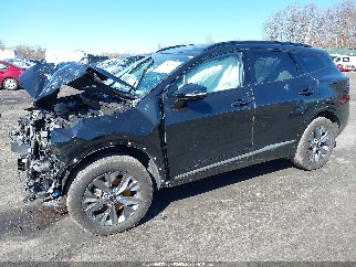 2023 Kia Sportage, VIN 5XYK4CAF0PG037135. Фото 2 з 6 з аукціону IAAI. Каталог авто зі США OpenDataCar.