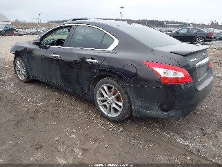 2010 Nissan Maxima, VIN 1N4AA5AP1AC873126. Photo 3 of 6 from IAAI auction. OpenDataCar US salvage catalog.