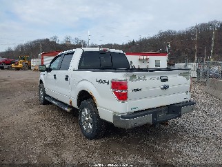 2014 Ford F-150, VIN 1FTFW1EF6EKG44500. Фото 3 з 6 з аукціону IAAI. Каталог авто зі США OpenDataCar.