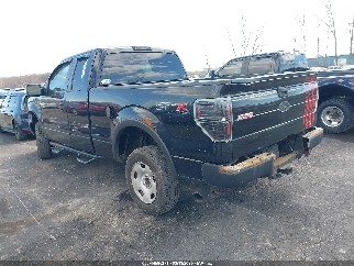 2010 Ford F-150, VIN 1FTEX1EW6AFD85339. Фото 3 з 6 з аукціону IAAI. Каталог авто зі США OpenDataCar.