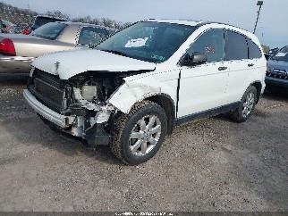 2007 Honda CR-V, VIN JHLRE38527C014360. Фото 2 з 6 з аукціону IAAI. Каталог авто зі США OpenDataCar.