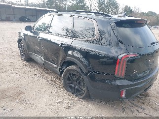 2025 Kia Telluride, VIN 5XYP5DGC9SG650983. Фото 3 з 6 з аукціону IAAI. Каталог авто зі США OpenDataCar.