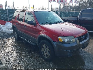 2005 Ford Escape, VIN 1FMYU93105KA72520. Фото 1 з 6 з аукціону IAAI. Каталог авто зі США OpenDataCar.